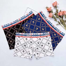 burberry Men's Warhorse Logo Printed Fashion Briefs boxer 3pcs-2361